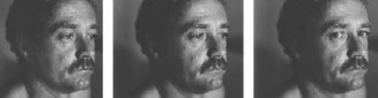 cropped-verburg-triple14